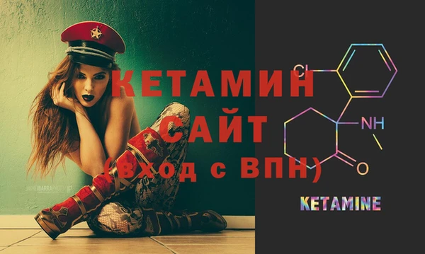 гидра Богородицк