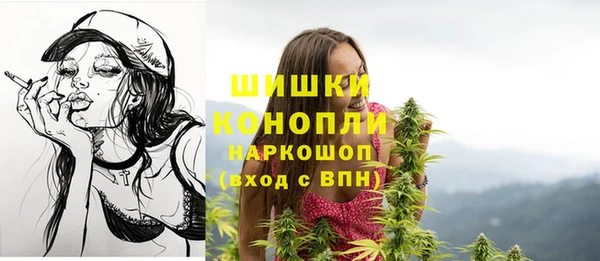 гидра Богородицк