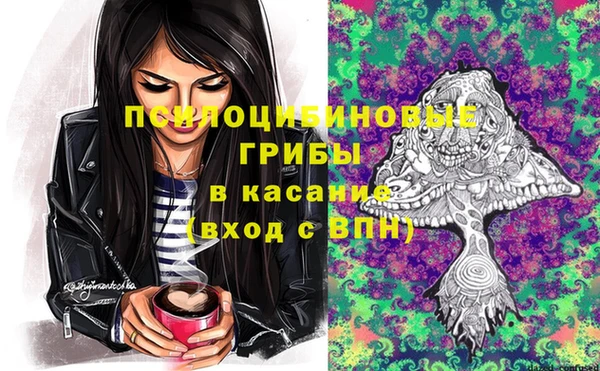 дурь Белокуриха